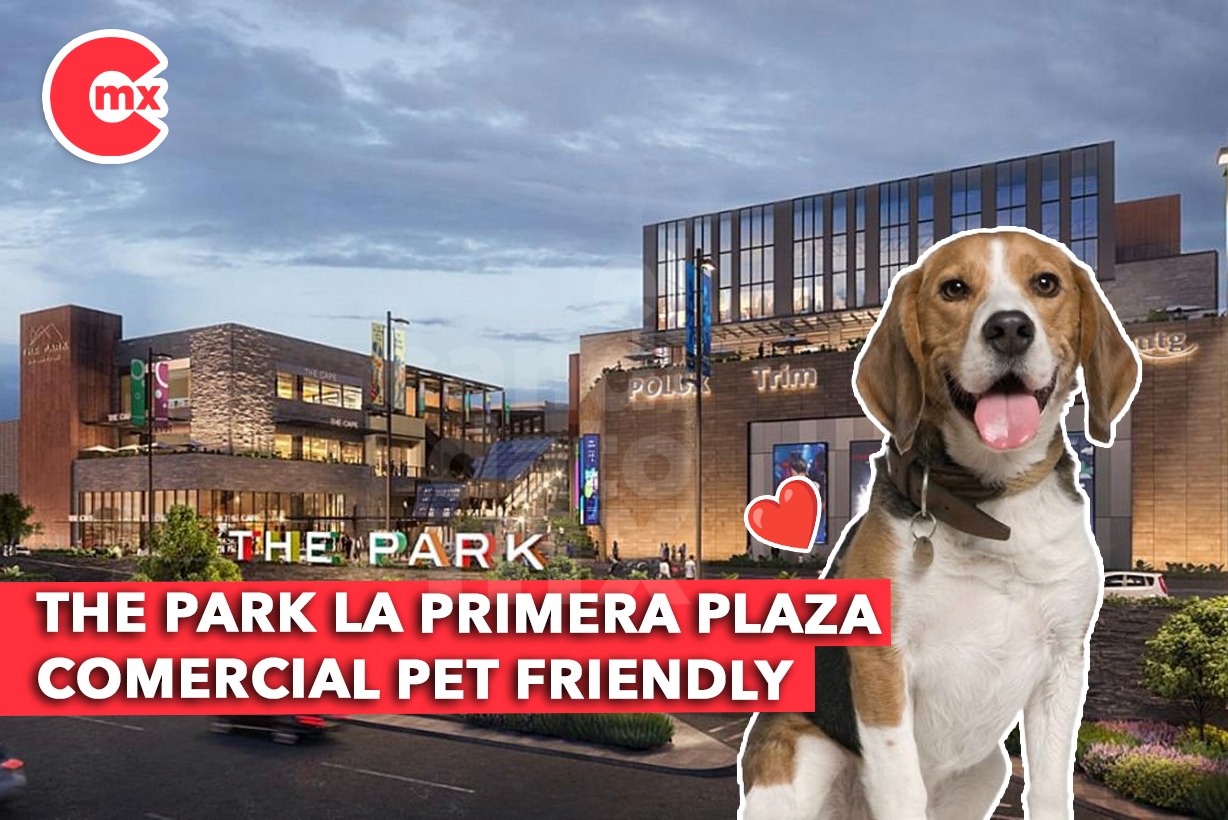 THE PARK LA PRIMERA PLAZA COMERCIAL PET FRIENDLY El Candidato MX